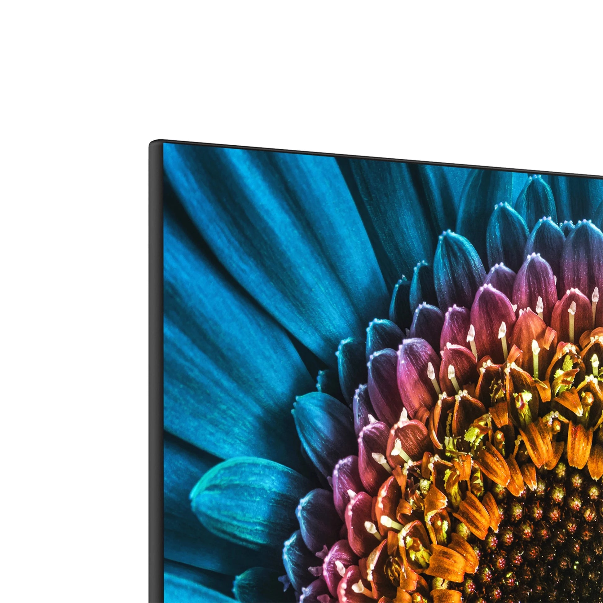 Element 24” 1080P IPS LCD 3-Side Frameless Computer Monitor - Black (EM2FPAB24B)